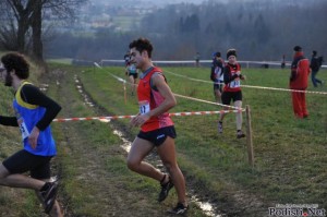 CB Briosco 2015 