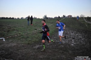 CB Briosco 2015     