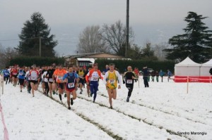 CB Oggiono 2015 