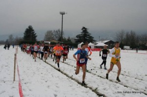 CB Oggiono 2015