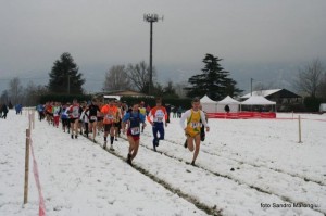 CB Oggiono 2015