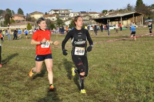 CB Briosco 2017